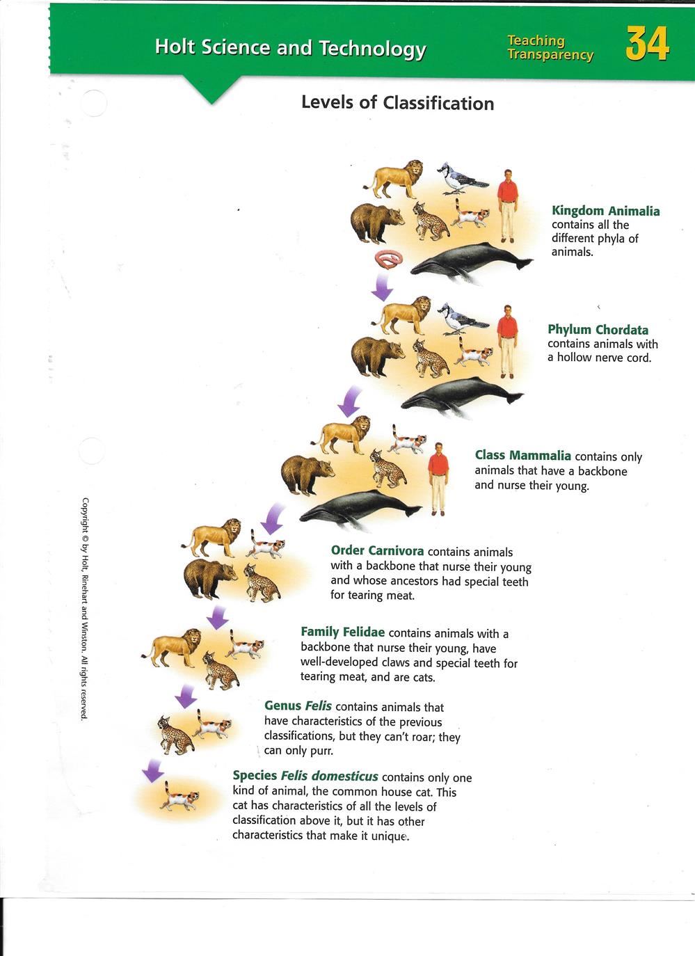 Levels of Classification